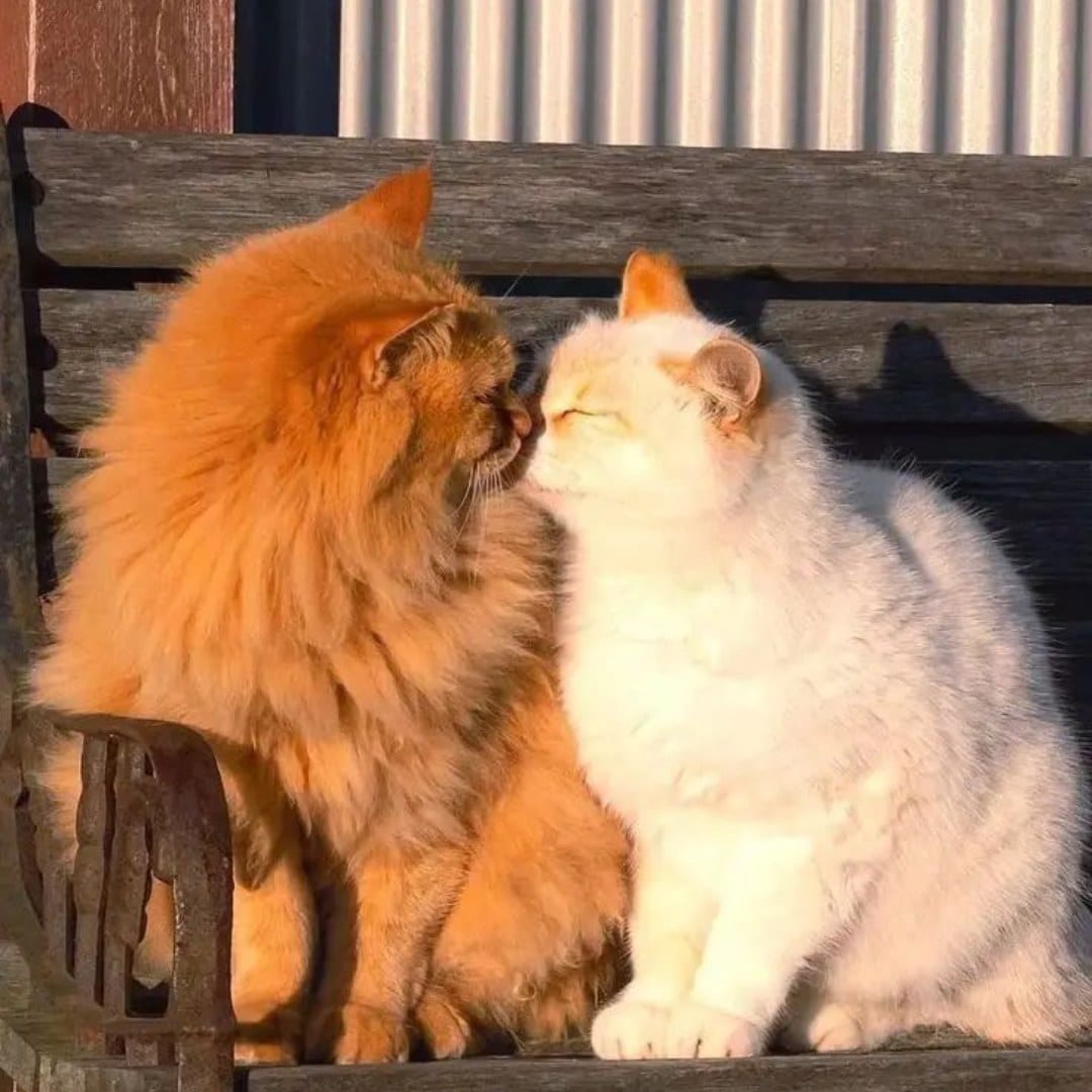Post attachment